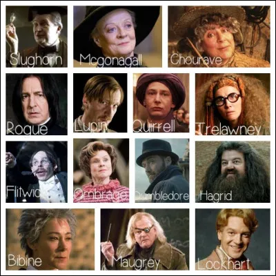 Quel est ton professeur pr&eacute;f&eacute;r&eacute; ?