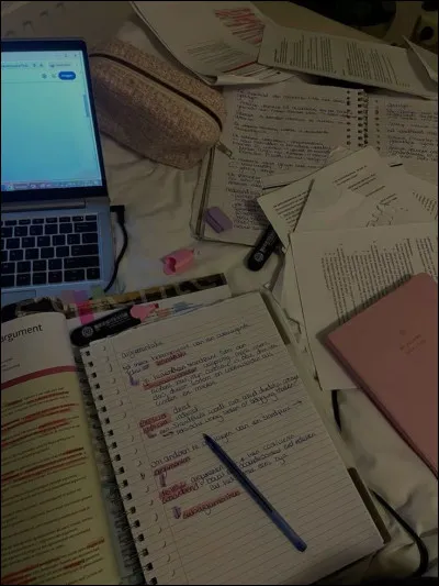 Ces cours finissent tr&egrave;s tard et en rentrant chez toi (vers 23 h 45), tu dois faire tes devoirs, les fais-tu ?