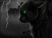 Quiz Fanart ou pas ?