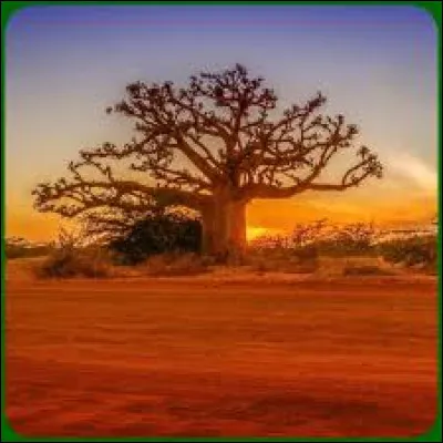 Compl&eacute;tez le titre de cette chanson du groupe Martin Cirus : "Je m'&eacute;clate au ..." :