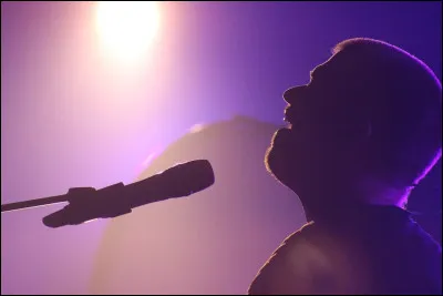 Quel chanteur est l'interpr&egrave;te de la chanson ''Papa-Tango-Charlie'' ?