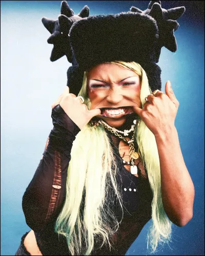 Quelle chanson populaire l'a r&eacute;v&eacute;l&eacute;e au grand public ?