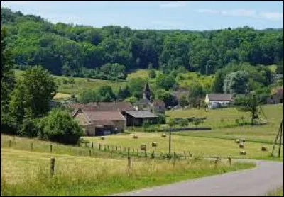 Pour finir, je vous emm&egrave;ne &agrave; Visoncourt. Petit village Haut-Sa&ocirc;noise de 36 habitants, il se situe en r&eacute;gion ...