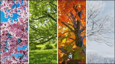 Coucou ! Merci d'avoir cliqu&eacute; sur ce test !Quelle est ta saison pr&eacute;f&eacute;r&eacute;e ?