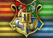 Test Dans quelle maison de poudlard es tu ?