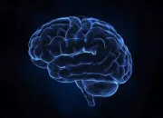 Quiz Quiz Culture G � Niveau G�nie