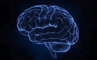 Quiz Culture g�n�rale