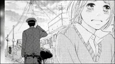 De quel anime viennent ces personnages ?