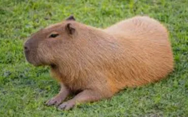 Quiz Test de personnalit�