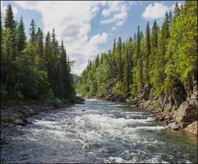 Imagine, tu passes &agrave; c&ocirc;t&eacute; d'une rivi&egrave;re lorsque la nuit tombe, que d&eacute;cides-tu ?
