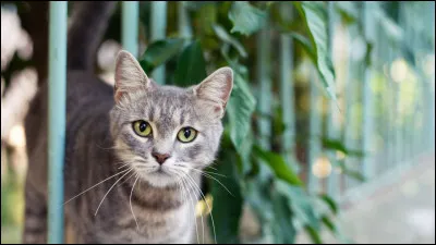 Quels sont tes yeux pr&eacute;f&eacute;r&eacute;s ? (2)