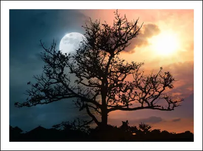 Tes proches te d&eacute;crivent plut&ocirc;t comme...