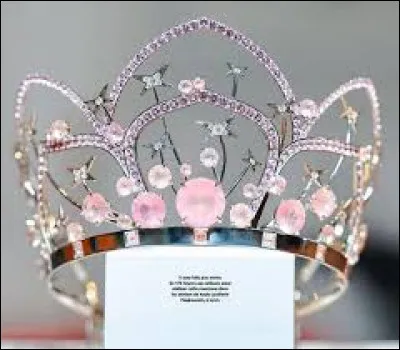 Comment te d&eacute;crirais-tu en soci&eacute;t&eacute; ?