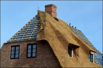 Et dans celui de 1980, que met Alfred Sauvy avec la machine ?