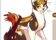 Quiz Les chats sur l'image - LGDC