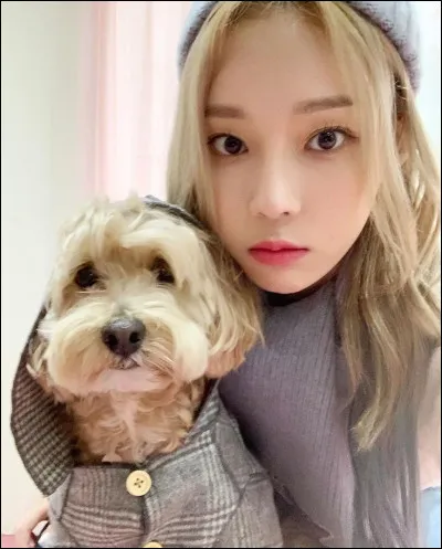 De quel groupe Winter fait-elle partie ?