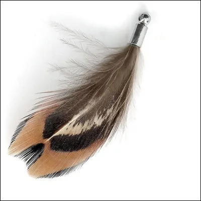 Qui a particip&eacute; au Grand P&eacute;riple ?