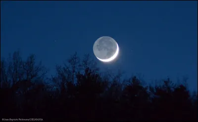 De quelle chanson de Myl&egrave;ne Farmer sont extraites ces paroles : "Cendre de lune, petite bulle d'&eacute;cume Pouss&eacute;e par le vent je br&ucirc;le et je m'enrhume Entre mes dunes, reposent mes infortunes C'est nue, que j'apprends la vertu" ?