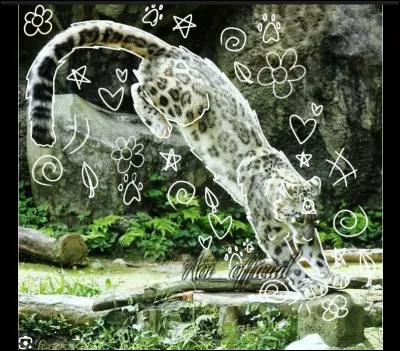 Te sens-tu proche des animaux ?