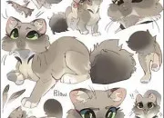 Test � combien de points de pourcentage ressembles-tu � Aile de Colombe ?