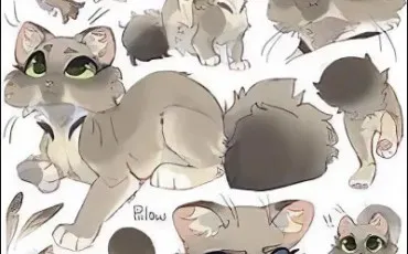 Quiz Test de personnalit�