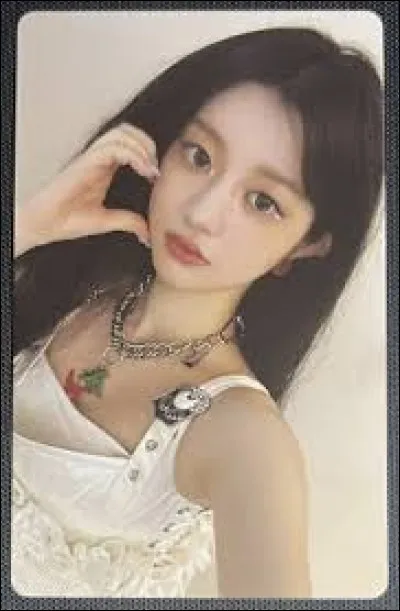 Quels sont ces animaux pr&eacute;f&eacute;r&eacute;s ?