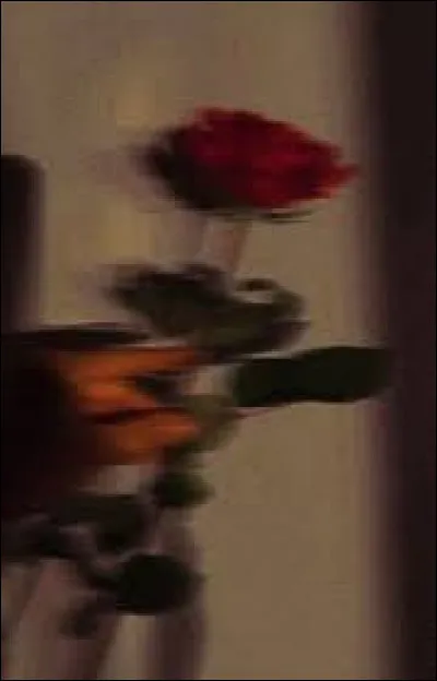 Comment est ta peau ?