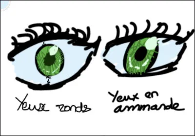 Comment sont tes yeux (la forme) ?(Tes yeux sont ronds si quand tu regardes devant toi il y a un espace entre le haut et le bas de la pupille ; ils sont en amande s'il n�y en a pas.)