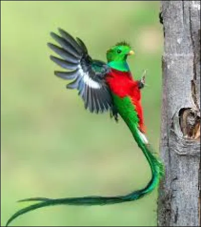 Cliquez sur la bonne r&eacute;ponse :