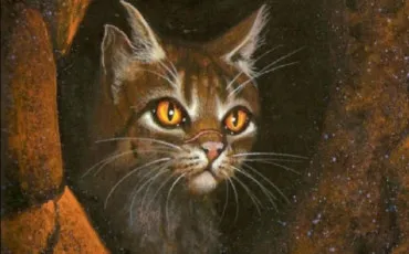 Quiz Litt�rature, po�sie