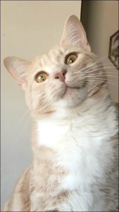 A-t-elle un fr&egrave;re ou une s�ur ?