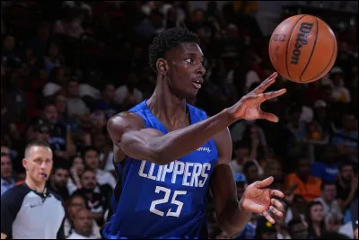 Qui est le joueur des Hornets en double-double ?