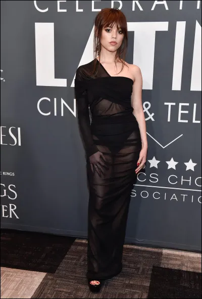 Sur cette image il s'agit :