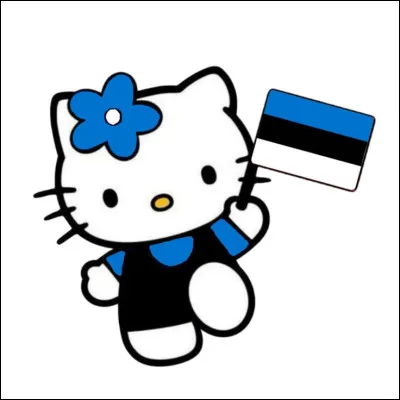 Quel drapeau est visible dans l'image ?