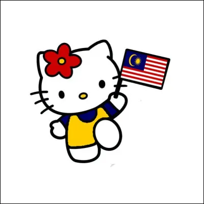 Quel drapeau est visible dans l'image ?