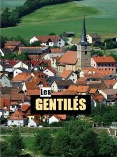 Que ce soit &agrave; Saint-&Eacute;tienne (42) ou Saint-&Eacute;tienne-l&egrave;s-Remiremont (88), les habitants sont des St&eacute;phanois et des St&eacute;phanoises.