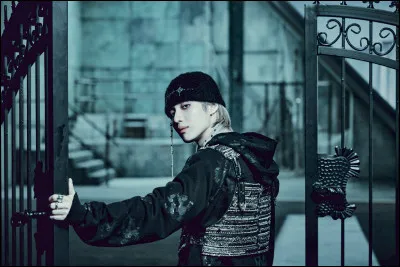 Maknae du c&eacute;l&egrave;bre groupe SHINee, il a &eacute;galement d&eacute;but&eacute; sa carri&egrave;re solo il y a plusieurs ann&eacute;es...