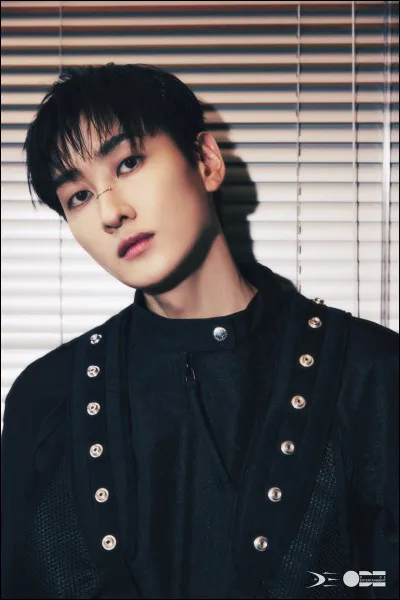 Qui est cette idole ?