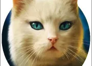 Quiz Devine le personnage LGDC gr�ce � l'image !