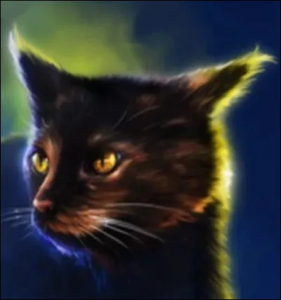 Qui est ce joli f&eacute;lin ?