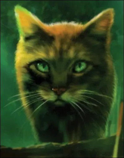 Pour finir qui est-ce ?