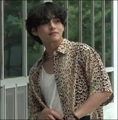 Avec quelle idole c&eacute;l&egrave;bre a-t-il &eacute;t&eacute; en couple ?