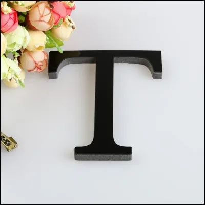 T : Je suis un "canard-lapin"...