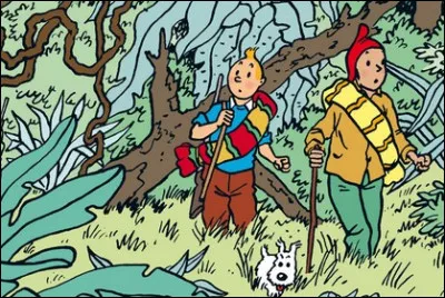 Quel personnage accompagne Tintin ?