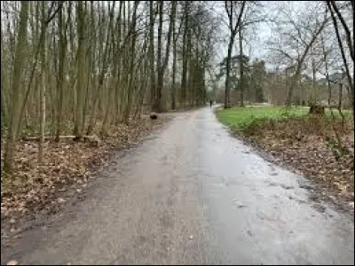 C'est une route du Bois de Vincennes qui borde le lac des Minimes :