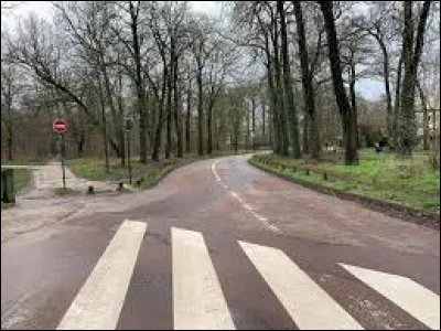 C'est une route du Bois de Vincennes parall&egrave;le &agrave; l'avenue de Nogent :