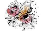 Quiz Les oiseaux dans les expressions