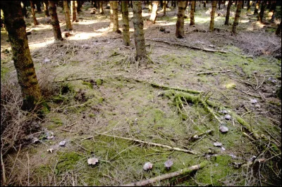 En 1987, qui y a-t-il avec le moine dans le film de Suzanne Schiffman ?