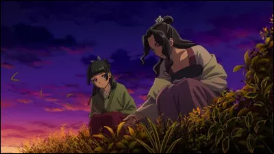 Dans cette sc&egrave;ne, Suilei dit &agrave; Mao Mao qu'elle va planter des Volubilis... Rem&egrave;de ou poison ?