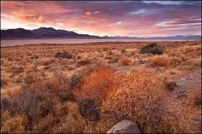 Beaucoup plus loin dans, l�histoire P&eacute;ril chasse avant d'aller &agrave; la grande arche. Que mange-t-elle sur le chemin ?